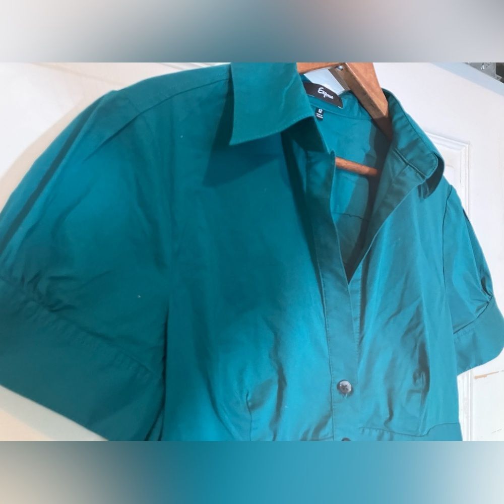 Express button-down dress, Kelly green, excellent condition, size 12 - Picture 2 of 3